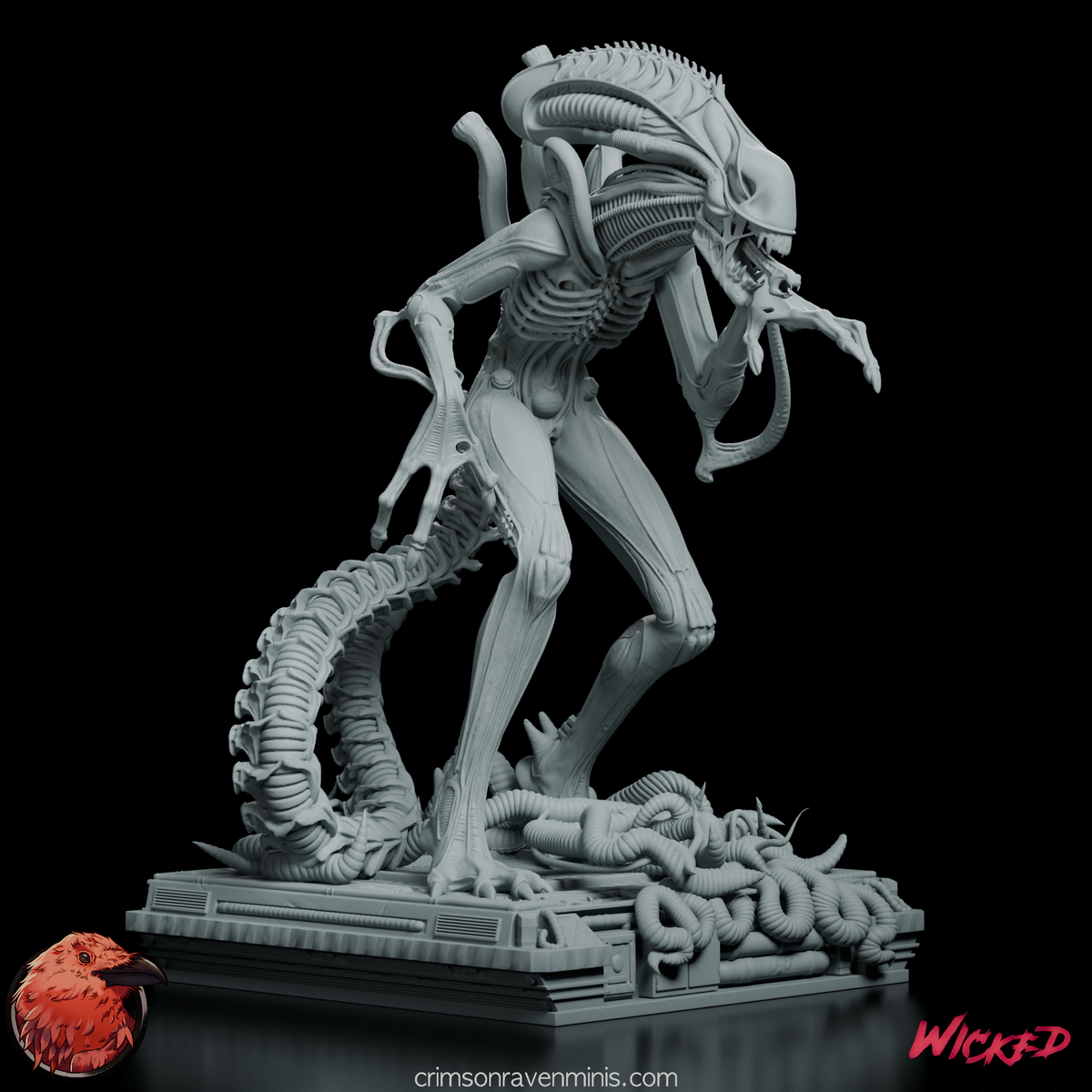 xenomorph-warrior-front-view.
